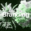 How-to-use-generative-design-in-branding-green